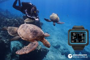 Potápěčský počítač PEREGRINE