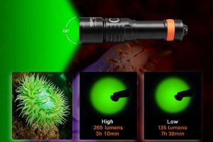 Svítilna D530V - barevná