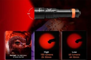 Svítilna D530V - barevná